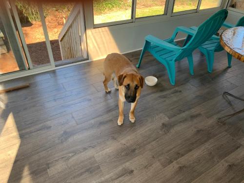 Briar Creek Rd bnb Briar Creek Rd bnb