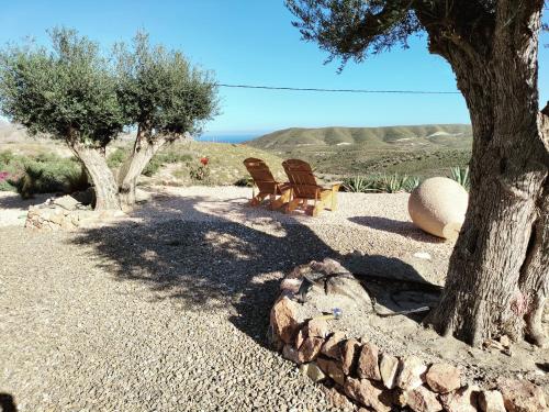  Cortijo la Oliva in Los Cerrillos