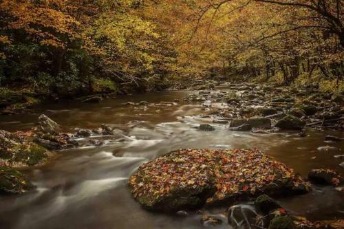 2-Bedroom Cabin with 2 Master Suites, Loft, Half-Bath and hot tub in a Serene Resort Setting in Sevierville, USA