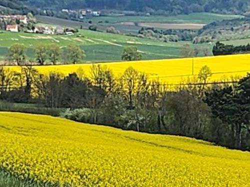 Alrededores, La Layotte in Vosne-Romanee
