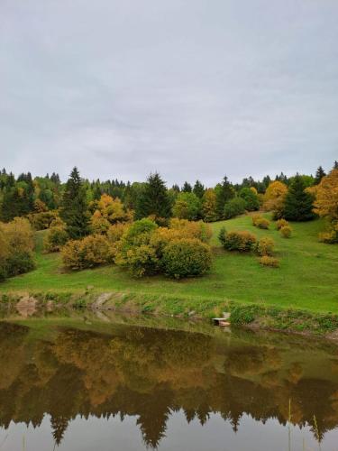 Cabane Areama Neagra in Marosfő
