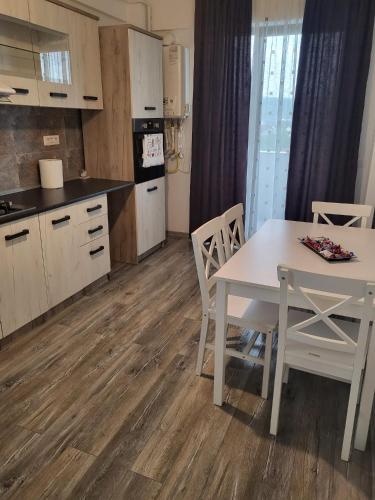 Apartament Dem Radulescu