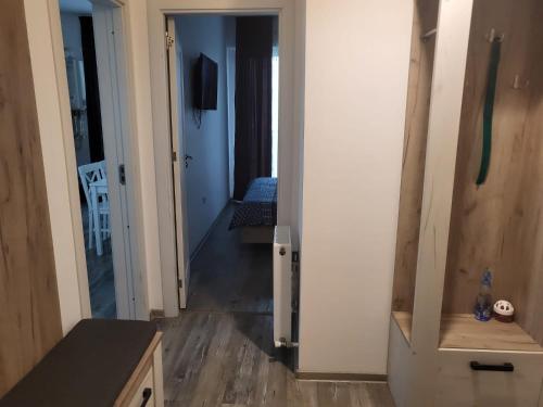 Apartament Dem Radulescu