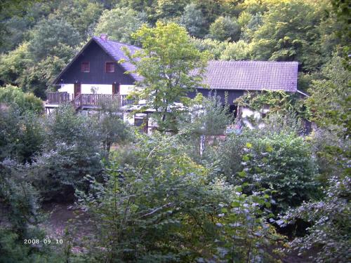 Ferienhaus Neumühle in Lutzerath, Deutschland