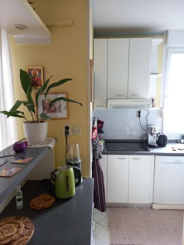 Kat's - Roman Salona, Solin (Salona) (foto 5)
