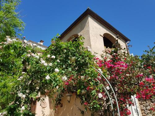 Bed and Breakfast Tenuta Palmieri