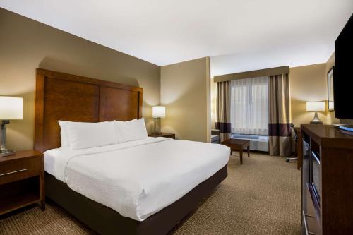 Comfort Inn & Suites Morgan City - image 8