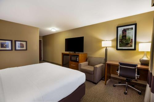 Comfort Inn & Suites Morgan City - image 10