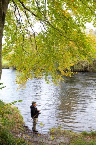 Braidhaugh Holiday Lodge and Glamping Park