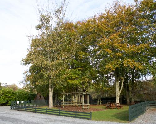 Braidhaugh Holiday Lodge and Glamping Park