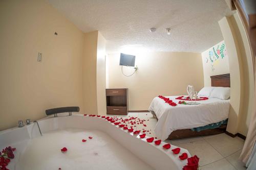 Hotel Tungurahua in Banos