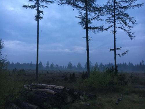 Bjælkehuset på Harrild Hede