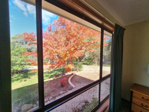 外部景觀, 安妮度假屋 (Annies Holiday Units) in 巴克威