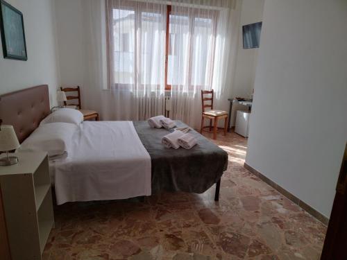  Olimpia Rooms in Pisa