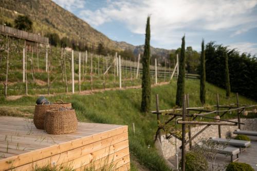 View House - Chalet Goyen