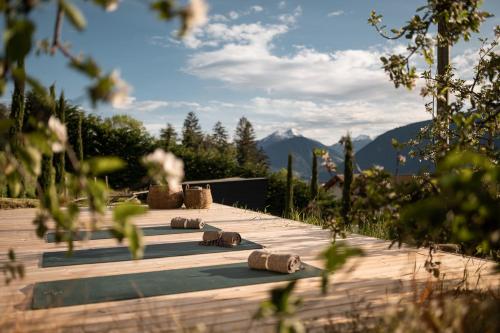 View House - Chalet Goyen