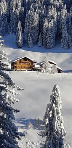 Landhaus Trista in Damuls