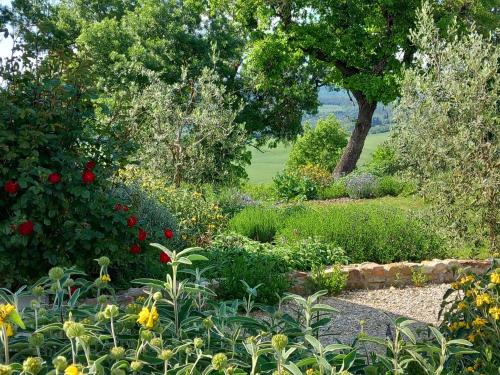 Agriturismo Timignano