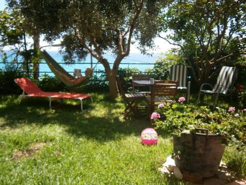 Jardim, LEMONELIA, one big,4-5 people and one small apartment ,2-3 people in Paralia (Fanari)