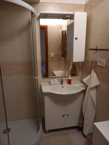 Karpatia Vendeghaz 1201 Budapest Room Type - Double Room with Private Bathroom Karpatia Vendeghaz 1201 Budapest Room Type - Double Room with Private Bathroom
