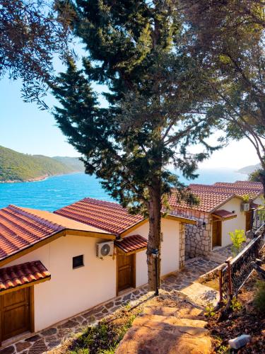 Kaş Köy Hotel - image 2