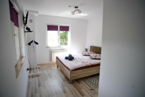 Vila Roberta Breaza ,BV in Lisa (Brasov)