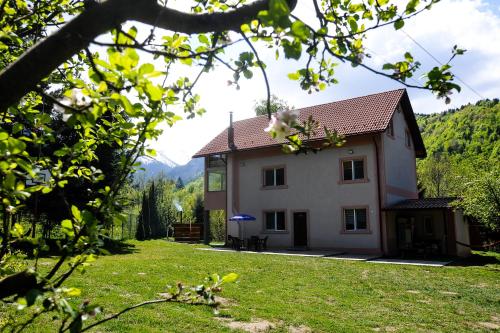 Vila Roberta Breaza Brasov - Accommodation - Breaza