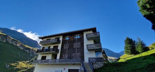 Curtinfess Franklin in Bivio, Schweiz