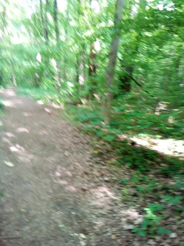  Steyr Schönes Haus für den Urlaub in Steyr