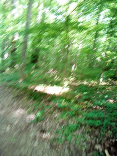  Steyr Schönes Haus für den Urlaub in Steyr