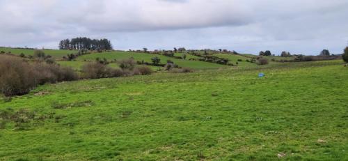 Peacock Farms Estate in Cork Airport