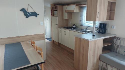 Chalet Adelaar in Vledder