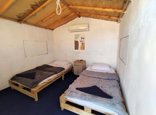 New Droub Camp