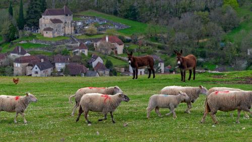 La source du Touron