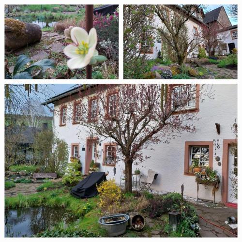 Ferienwohnung Zum Jehöschnis - Apartment - Gerolstein