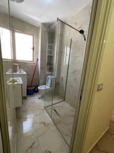 One-Bedroom Apartment image 2
