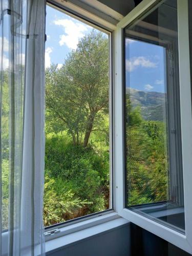 Harmony in رادانوفيشي