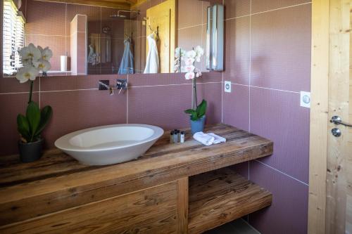 Chalet de l'Atray - 1066 - image 6