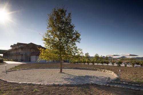 CASCINA SANT'ANTONIO