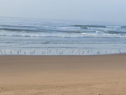 Magnifique villa face à l'océan Magnifique villa face à l'océan