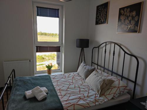 Apartament Wiki Apartament Wiki