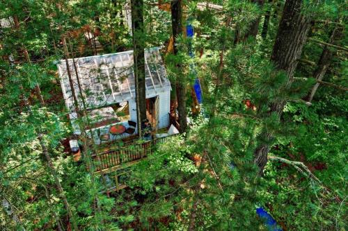 Stabbin Cabin #2 on Grant Island - Worlds Raddest Island