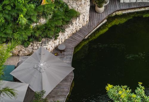2BR Fully Furnished Penthouse Private Cenote