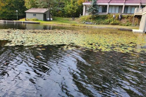 The Stabbin Cabin on Grant Island Brantingham Lake