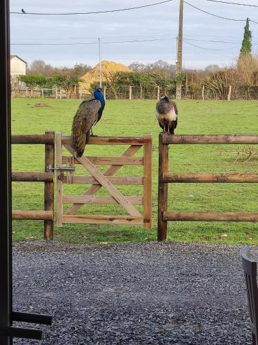 LE GITE ADORE in 梅濟東卡農