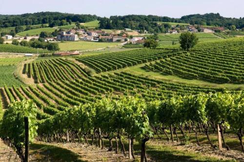 Apkārtne, Maison charentaise à la campagne (Maison charentaise a la campagne) in Perignac