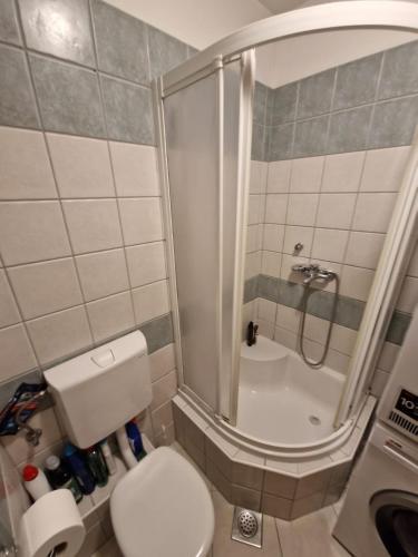 Apartment Ivan