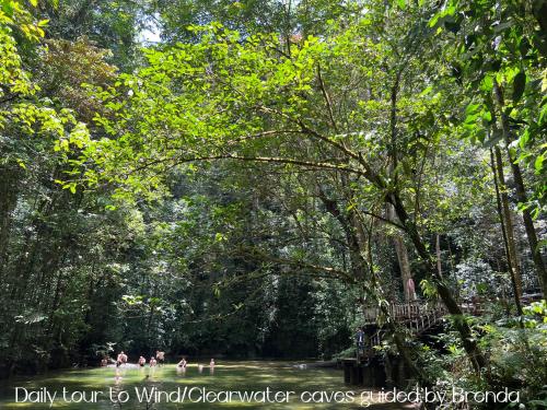 Surrounding environment, Mulu Village in Mulu