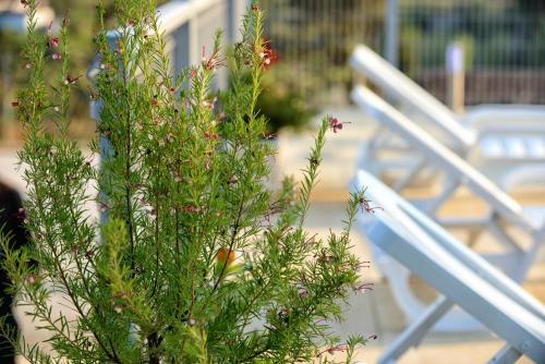 สวน, Spacious Villa in Celorico de Basto with Private Pool in โกเดโกโซ