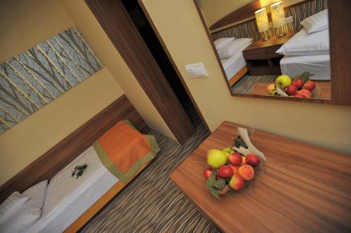 Park Hotel Gyula - image 14